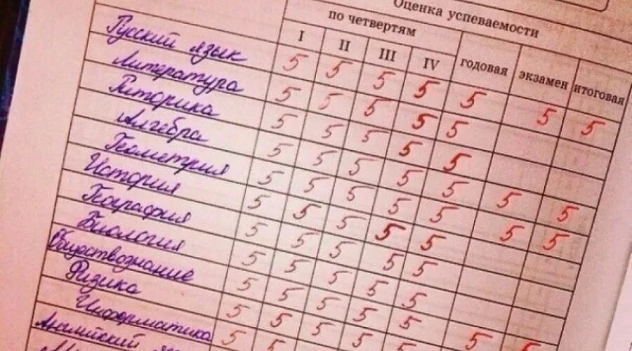 Каким предметам пятерки