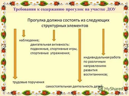 Прогулки в детском саду требования