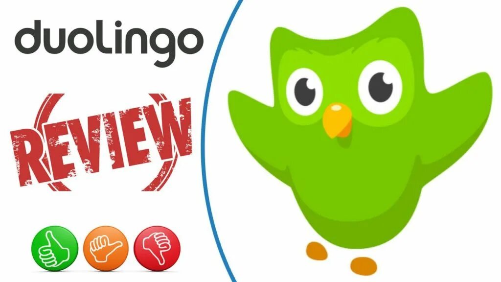 Дуолинго. Duolingo картинки. Дуолинго 2012. Duolingo рисунок. Lily duolingo r34