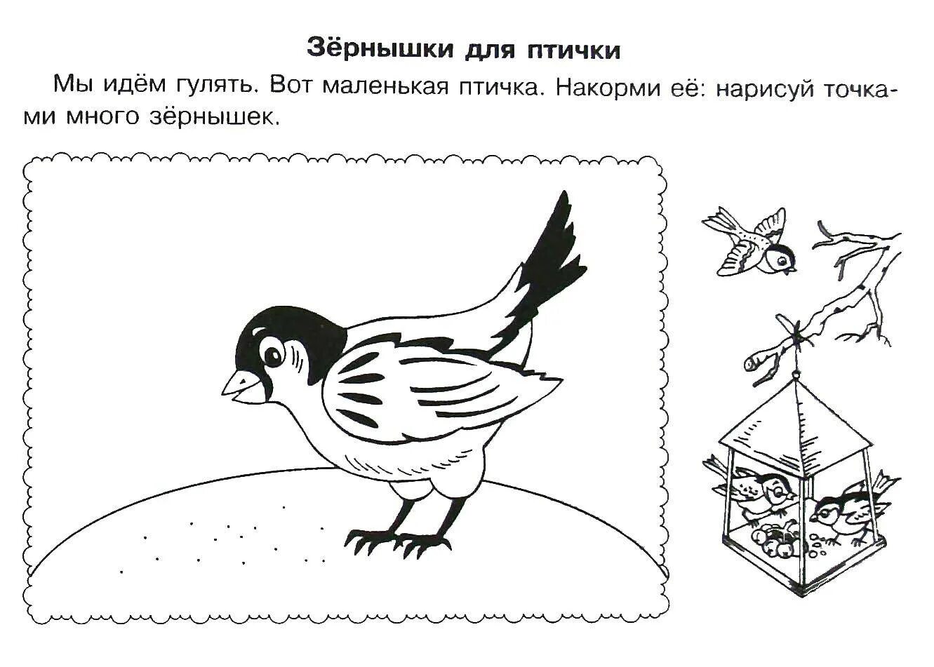 Зимующие птицы задания для дошкольников от логопеда. Зимующие птицы задания для дошкольников. зимующие птицы задания для детей 4-5 лет. задания на тему зимующие птицы для дошкольников. задание для детей зимующие птицы 5 лет.