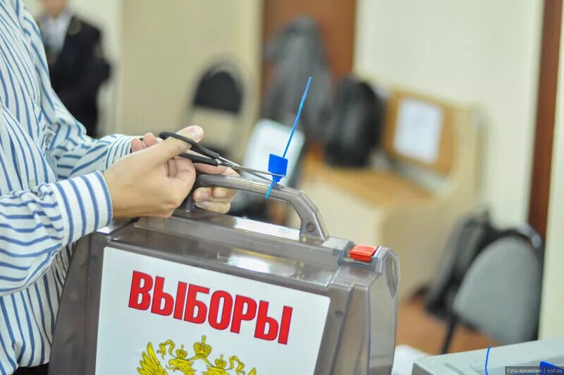 прямые муниципальные выборы. выборы. принципы голосования на выборах в рф. избиратель на избирательных участках. прямые муниципальные выборы.