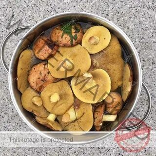 Маслята готовность