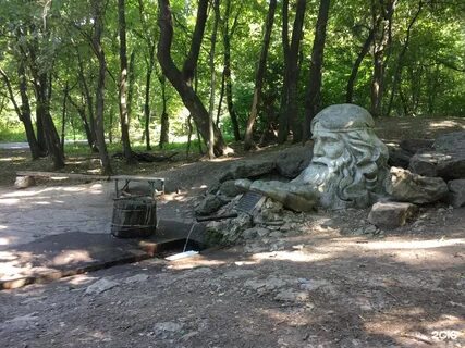 Саратовская область поляна