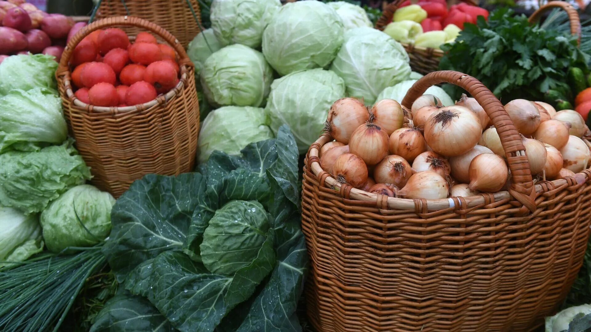 Купить овощи беларусь. Сельскохозяйственные продукты. Растениеводство овощи и фрукты. Овощная продукция. Поле овощей.