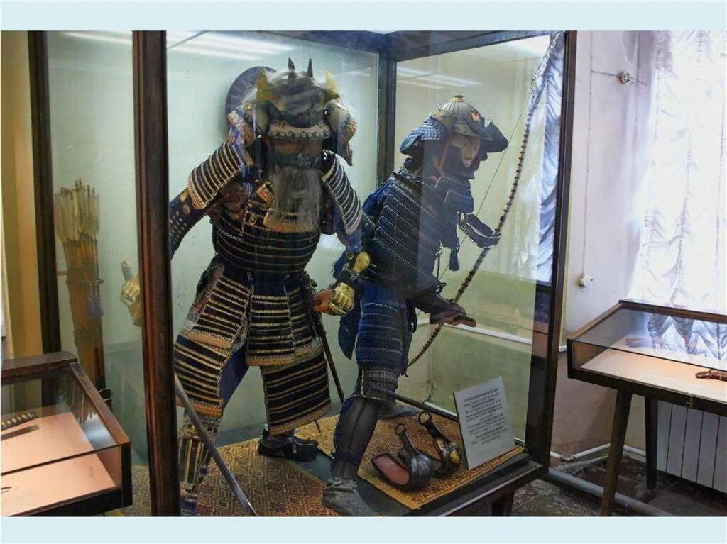 кунсткамера в питере музей антропологии. кунсткамера санкт-петербург коллекция петра. первые экспонаты кунсткамеры. кунсткамера этнографический музей. музей антропологии и этнографии в санкт-петербурге.