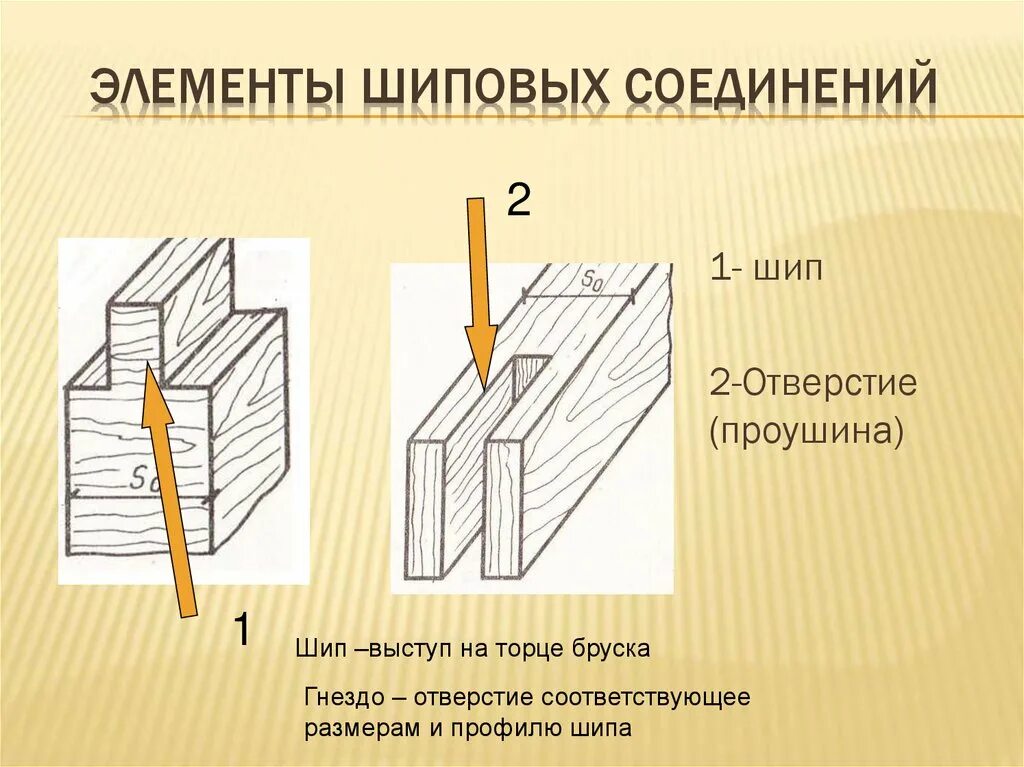 Выступ шипа. Выступ шипа
