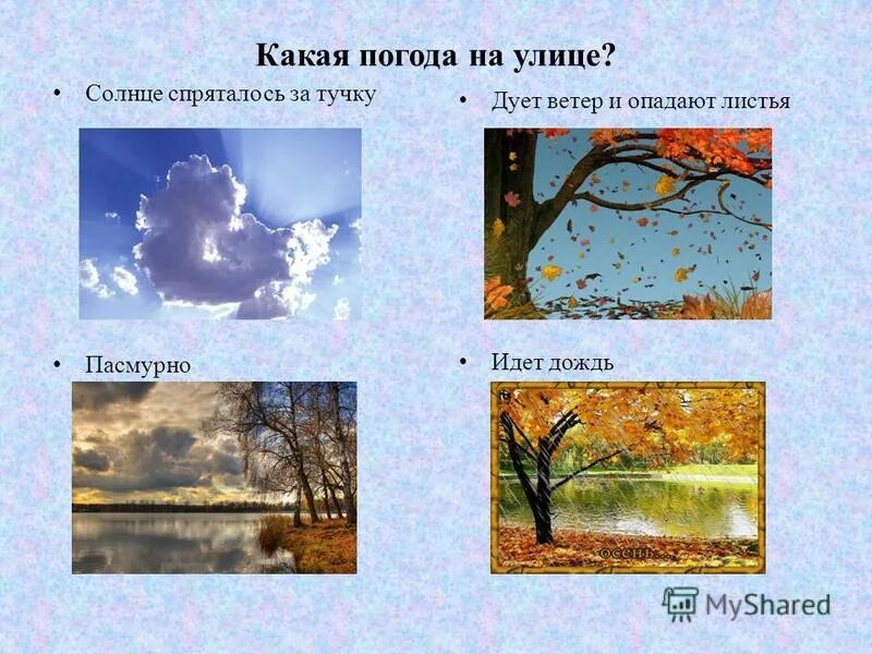 охотское море шторм. осень ветер. небо осенью. осенний ветер бушевал и волны вскидывал высоко. бурное море.