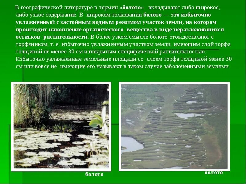 Увлажнение избыточное много болот озер. Гидрология болот. Термин болото. Болото это избыточно. Гидрология болот презентация.