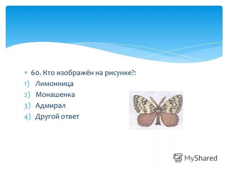 Насекомые задания 1 класс. Проверочная работа по теме насекомые 2 класс. Насекомые задания для 1 класса по окружающему миру. Тест по биологии отряды насекомых 7 класс пасечник. Проверочная работа по теме насекомые 2 класс.
