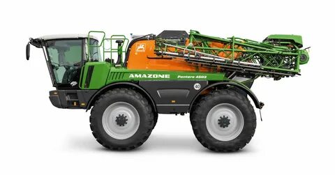 Amazone pantera