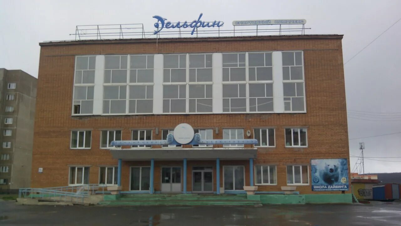 Дельфин доватора. Дельфин бассейн в г.заполярный. заполярный бассейн дельфин. бассейн дельфин кировск мурманская область. дельфин заполярный мурманской.