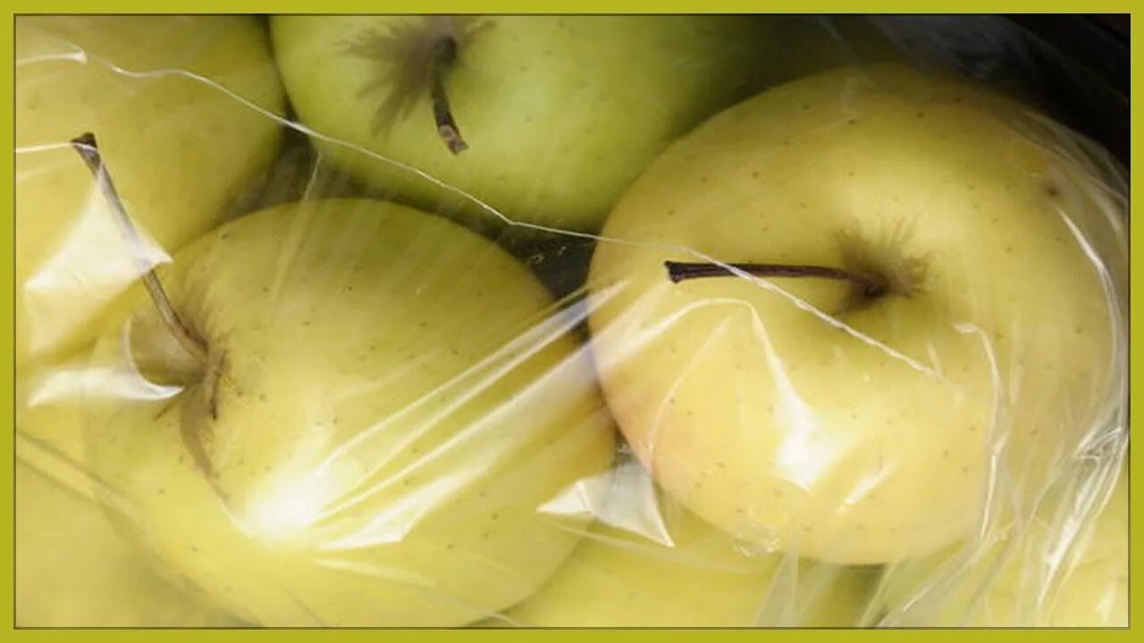 Для лучшего хранения яблоки протирают. Яблоки упаковка хранение. Хранение яблок в полиэтиленовых пакетах. Хранение яблок в домашних условиях. Хранение яблок и груш в холодильнике.