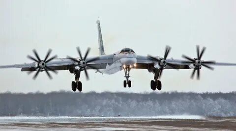 Туту дальнего
