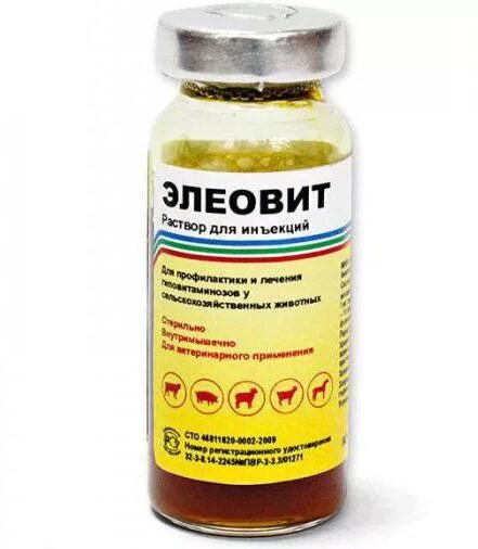Элеовит для животных. «элеовит» ветеринарный препарат. витамины для кур элеовит. элеовит 100 мл для животных. витамины элеовит для животных.
