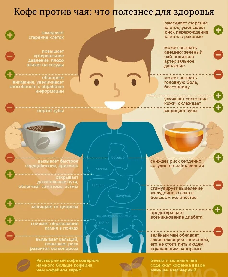 Польза зеленого чая для организма мужчины. Инфографика кофе. Кофе полезно для организма. Кофе полезно для человека. Полезная инфографика.