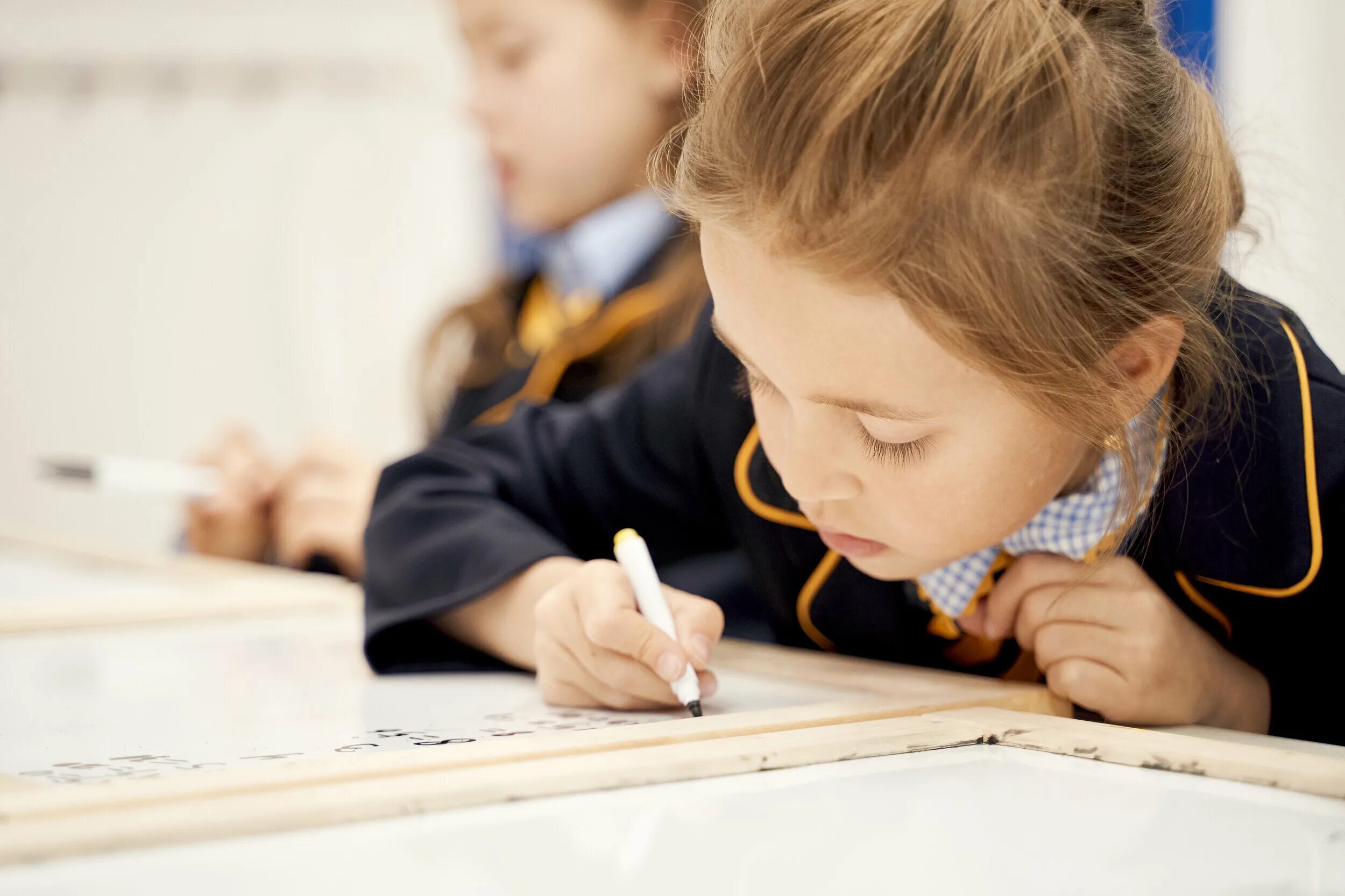 Школа для одарённых детей. Школа одарённых детей астрахань. Талантливые дети. Педагогика начального образования. Начальная школа для одаренных детей.