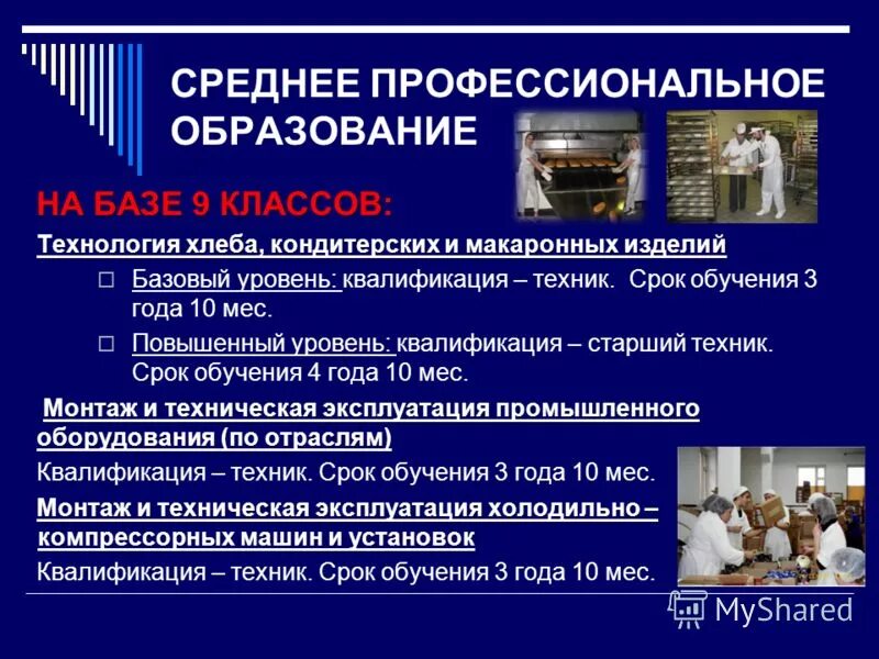 профессиональное образование в россии. спо после колледжа.