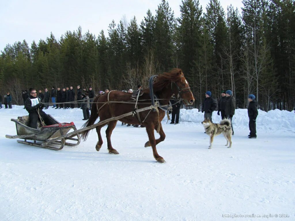 Погода в ижме рп5. Чум Ижма. Мануйлов Ижма. Маринин Ижма.