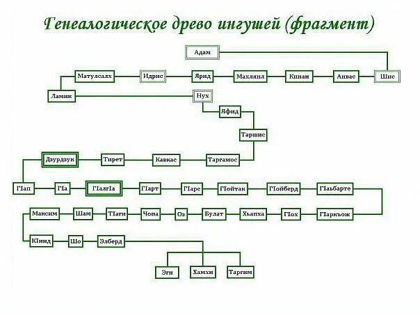 Древо понятий. Древо Авраама схема. Схема генетического дерева. Генеалогическое Древо Авраама. Династия Романовых генеалогическое Древо.