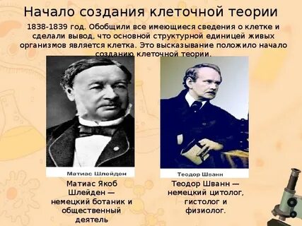 История изучения жизни