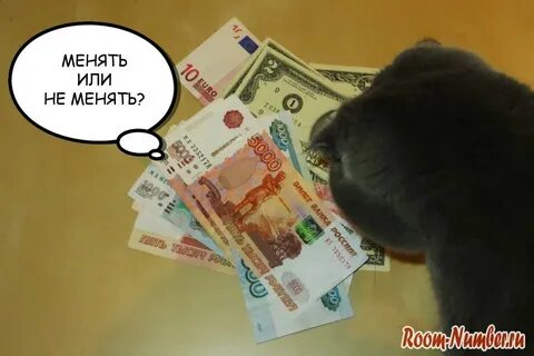 Можно ли менять доллар на рубли