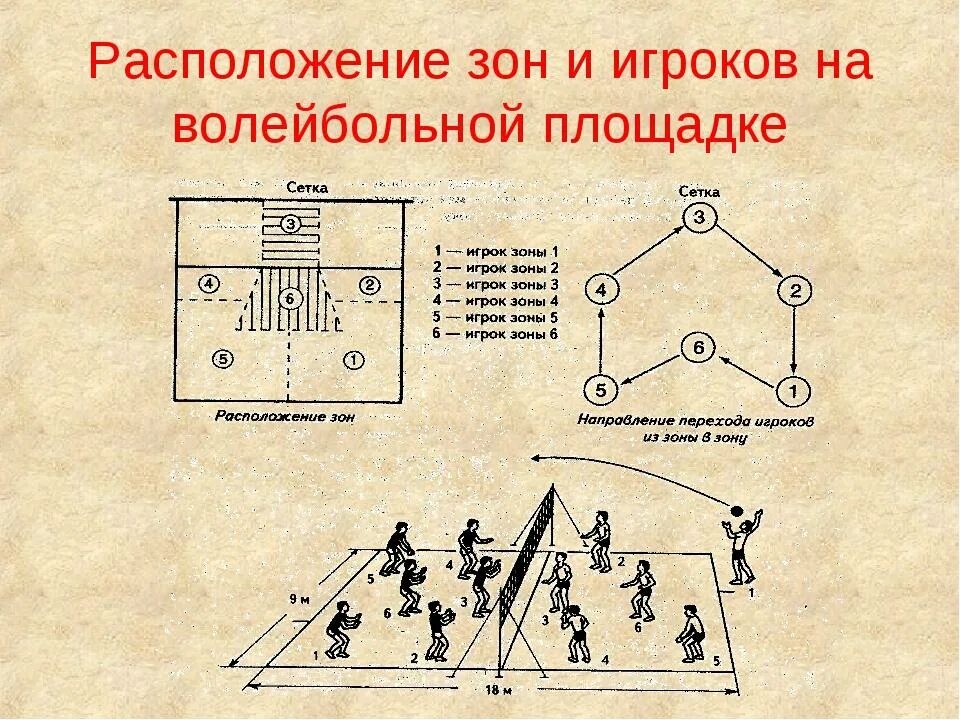 Типичное взаимодействие игроков в комбинациях непрерывного нападения. Расположение игроков в волейболе на площадке. Площадка игры в волейбол и расстановка игроков. Амплуа и расстановка игроков на площадке в волейболе. Порядок расположения игроков в волейболе.