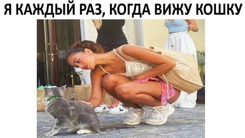 Видео приколы 2024 года