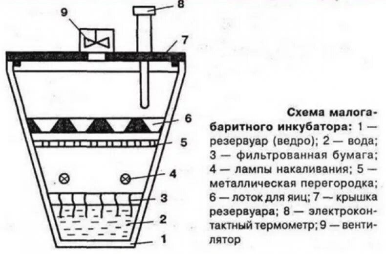 Инкубатор из бутылки. Самодельный инкубатор для перепелиных яиц. инкубатор для перепелов чертежи на 200 яиц. схема самодельного инкубатора. инкубатор из пенопласта своими руками чертежи с размерами.