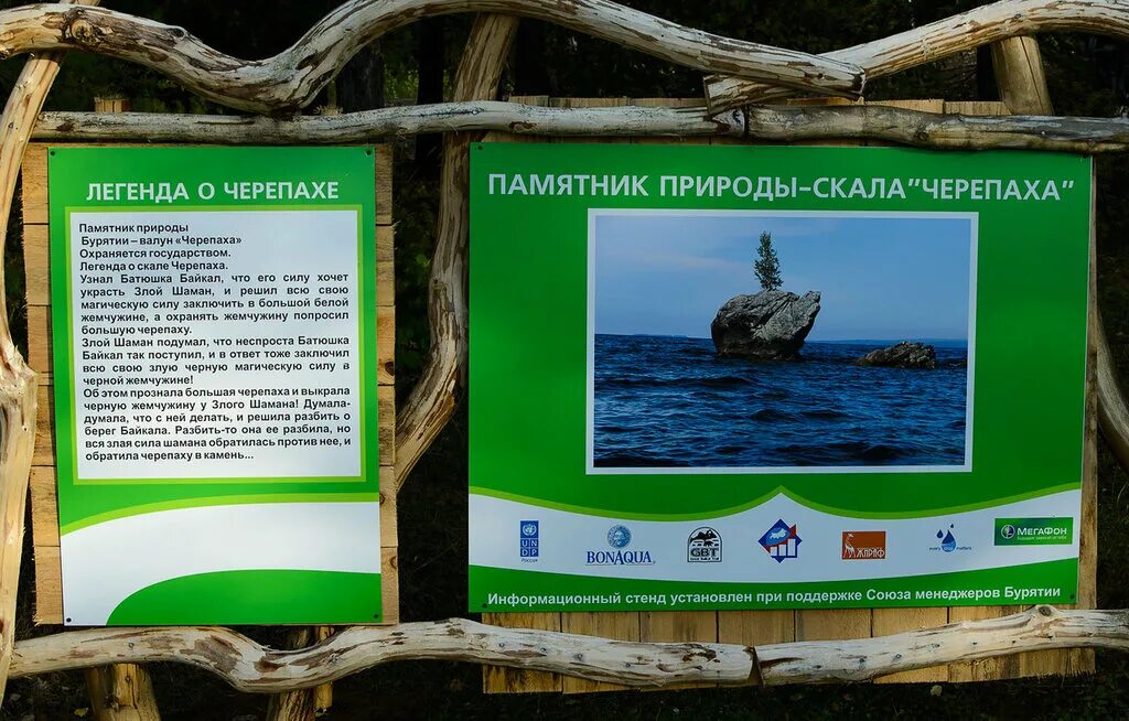 Интересные факты о черепахах. Факты о черепахах для детей. Черепаха картина. Легенда о черепах. Легенды для детей короткие.