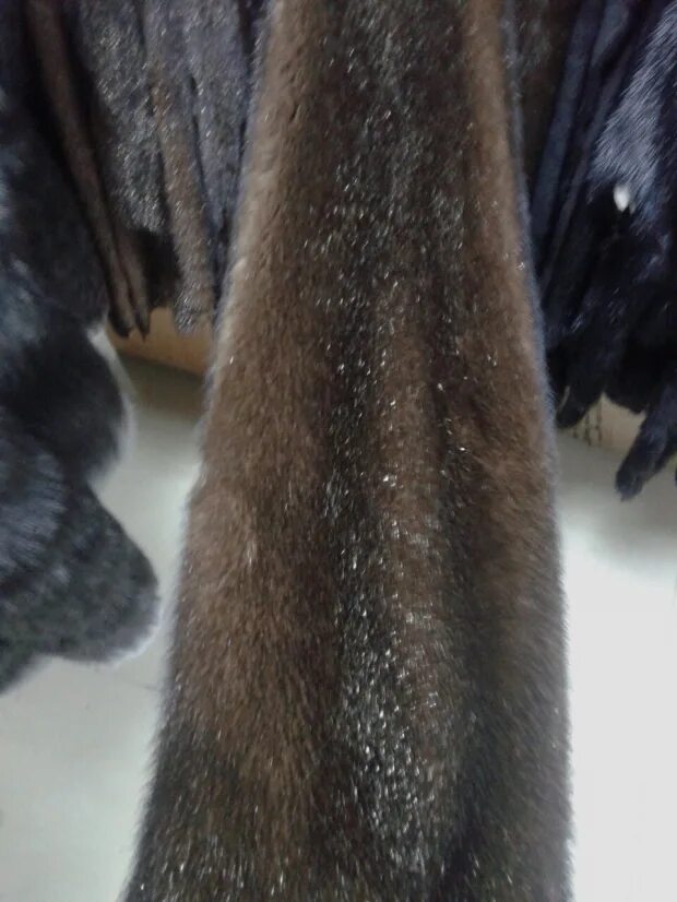 Мех сурка мех норки отличия. Норка как отличить. Полушубок из хонорика. Шуба поддельная. Канадский мех норки.