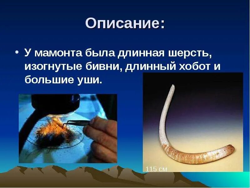 У бывшего был длиннее