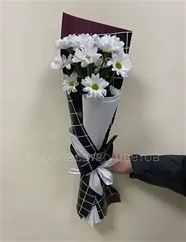 Одна ветка хризантемы Фитостудия-63.ру