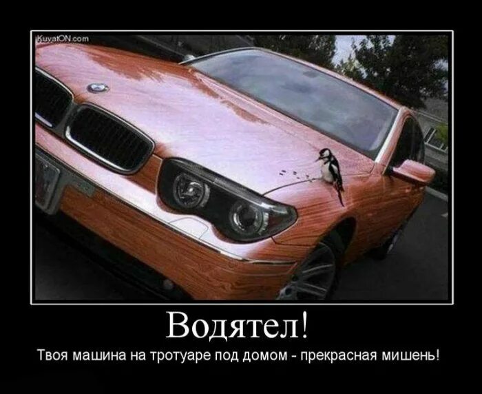 Авто мемы. Авто и девушки приколы. Твоя машина под. Птицы обгадили машину. Твоя машина под.