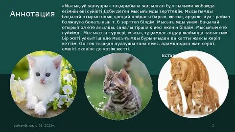 Жас сарбаздың секс видеосы