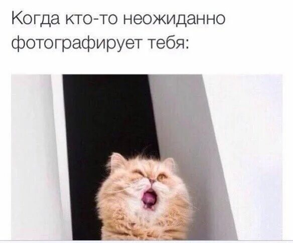 Как фотографирую я и как фотографируют меня. Фотографирует мем. Прикольные селфи парней. Сфоткай чтобы он понял кого потерял. Мемы про успех.