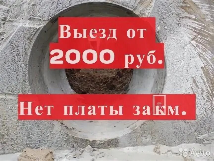 Выезд 2000