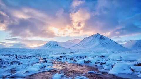 Северная пустошь