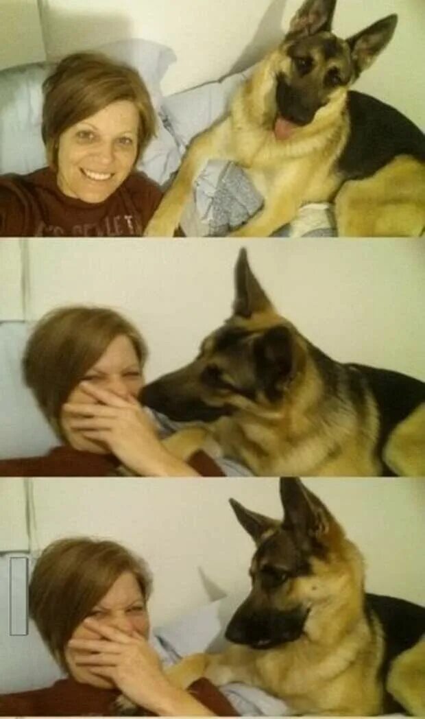 Собака пытается не кашлять