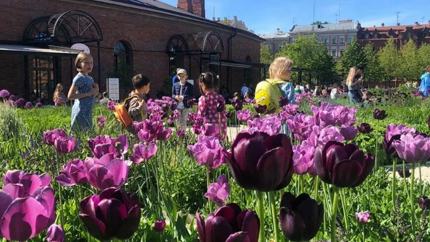 Новая голландия санкт-петербург цветники. Парк остров новая голландия. Новая голландия санкт-петербург цветники. Дом 12 новая голландия. Новая голландия сад.
