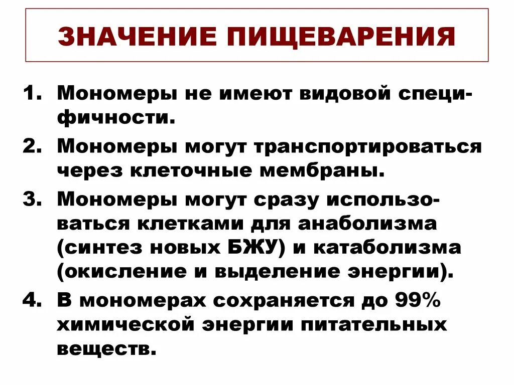 Процесс пищеварения значение