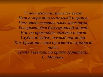 Нет в мире ничего нежней