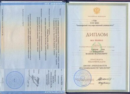 Гоу впо академия