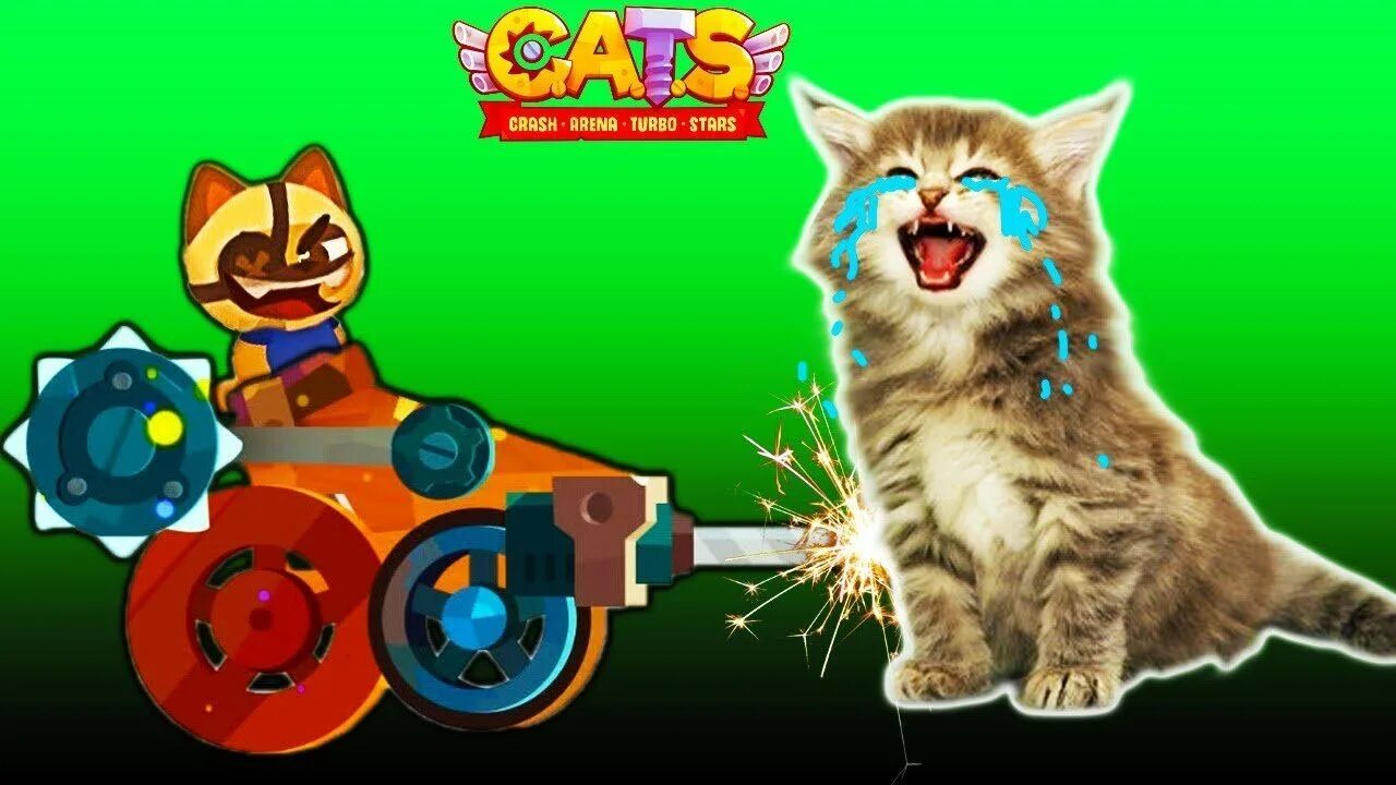 Игры для кошек. Кошки войны игра. Катс игра. Видео игры cats