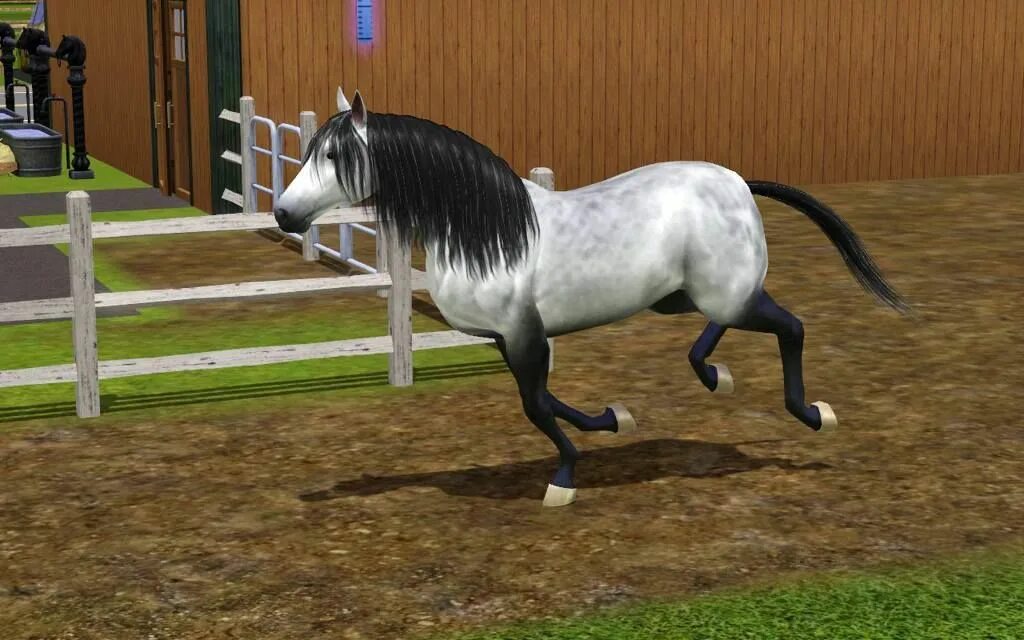 Horse sim