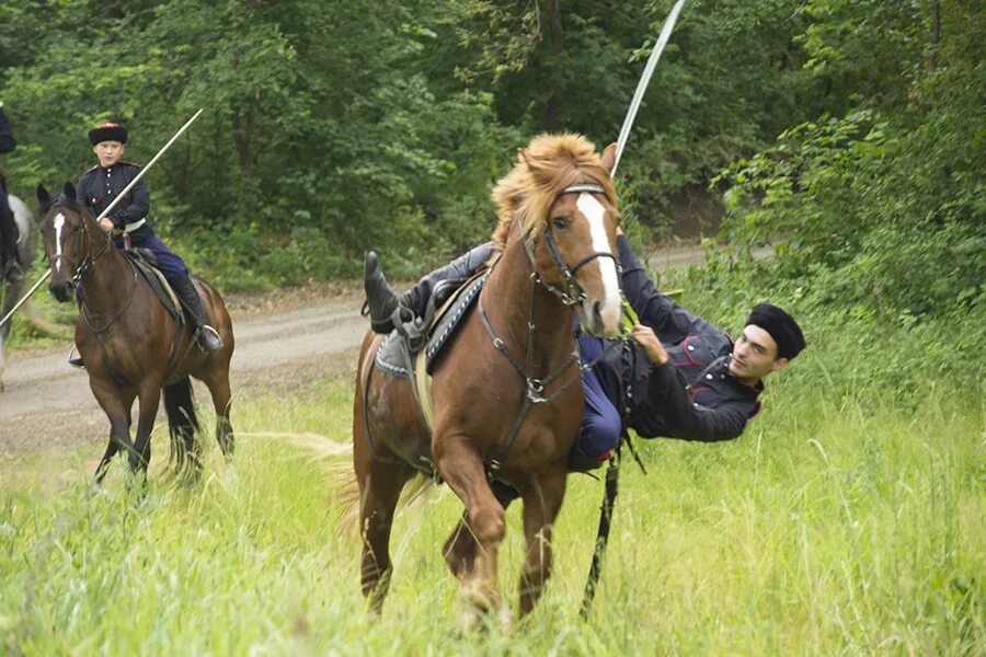 донской казак. казаки без рекламы. казаки без рекламы. кубанские казаки на кубани.