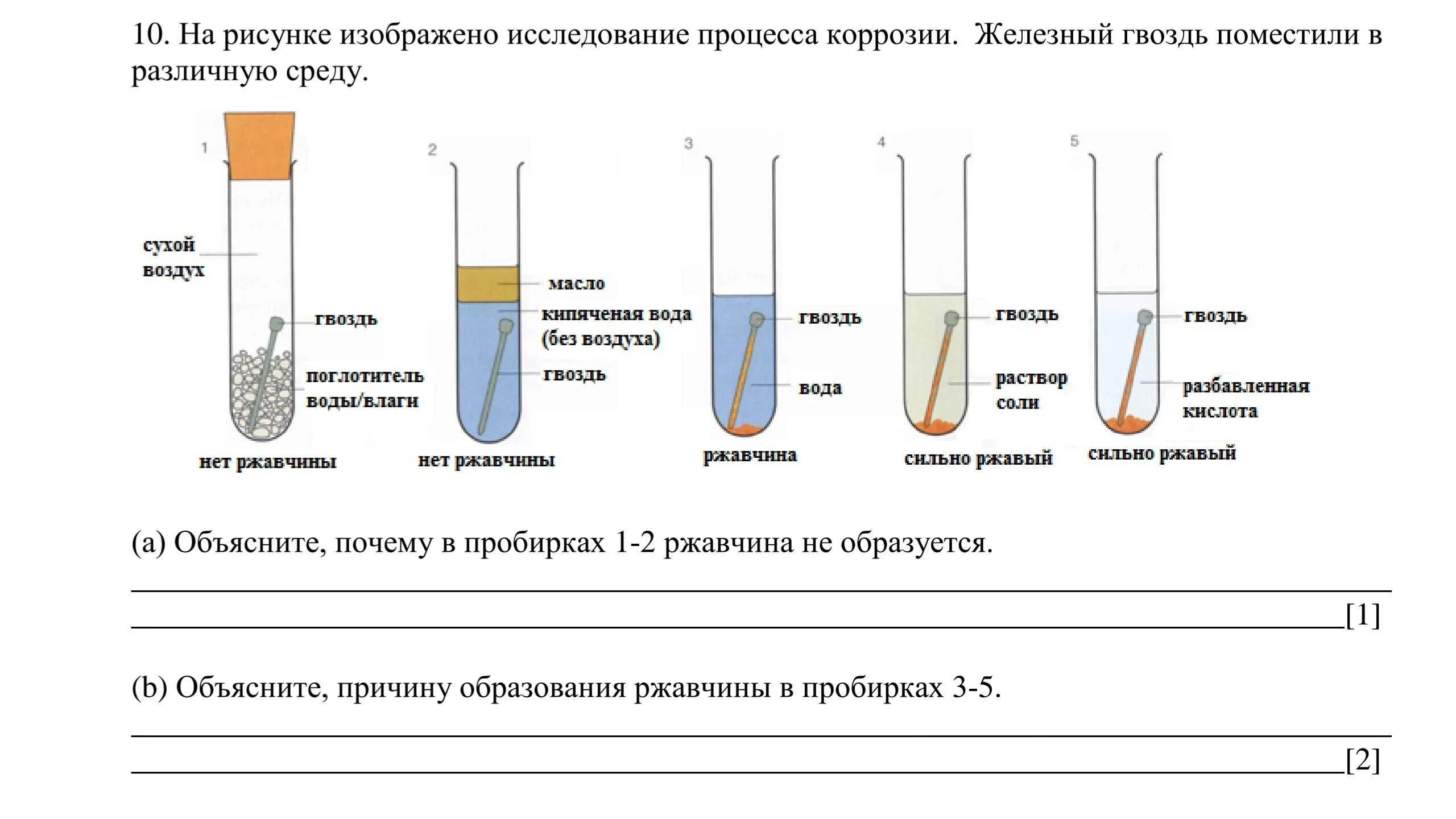 Коррозия железа в различных средах. Коррозия железа опыт. Эксперимент коррозия металлов. Коррозия задания.