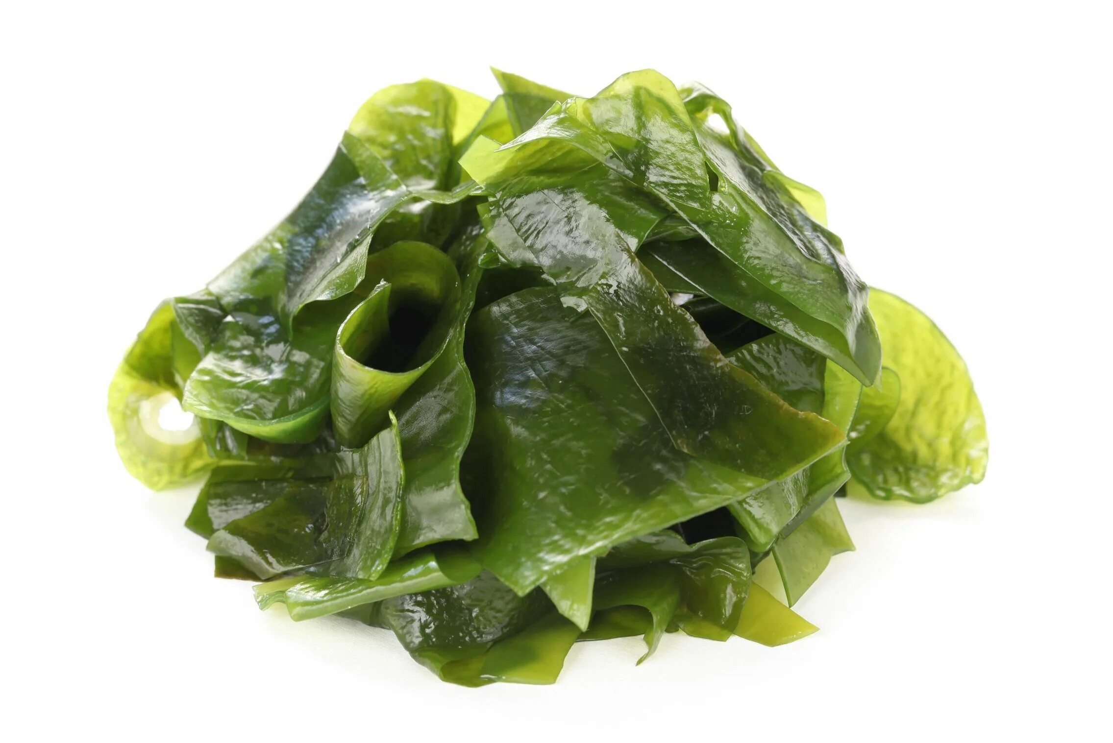 Kelp extract