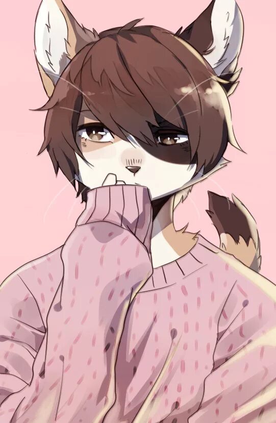 Cat boy cat day