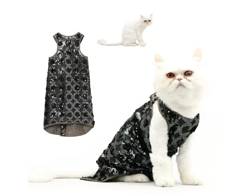 Кошечка с одеждой. Кошка в платье. Наряды для кошек. Модная одежда для кошек. Красивая одежда для кошек.