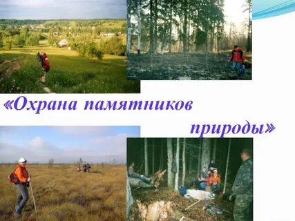 Охрана природных памятников
